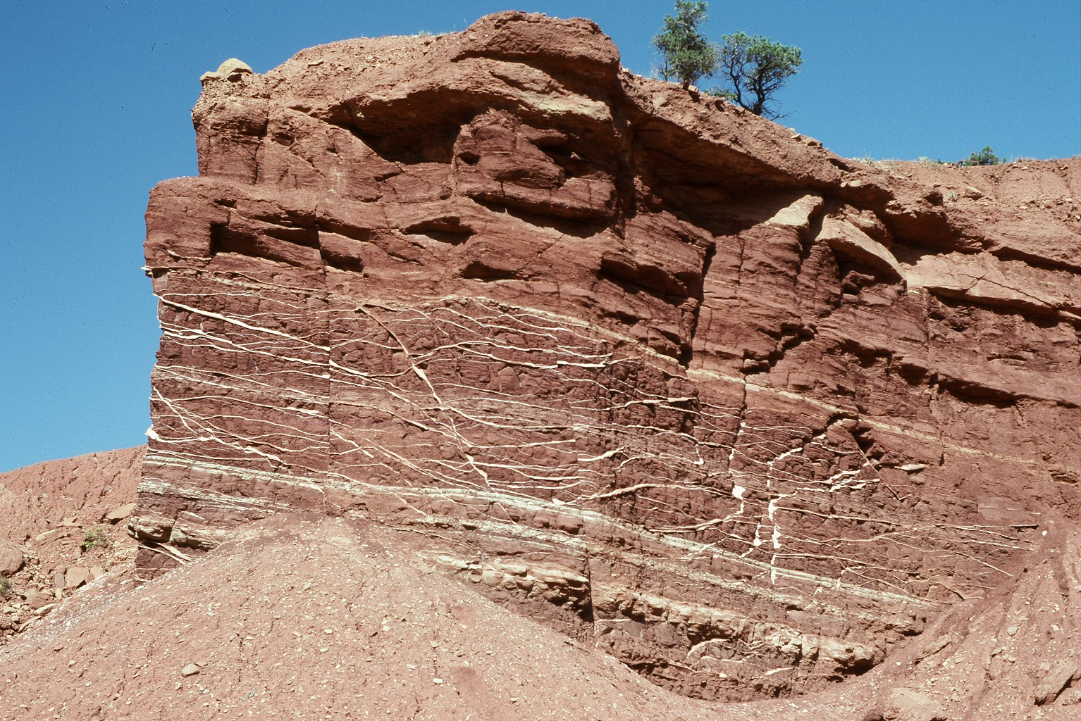 Moenkopi formation red rocks